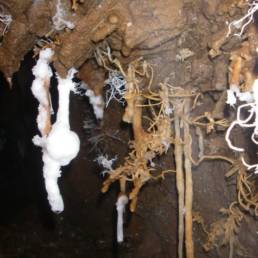 stalagtites-en-ariege